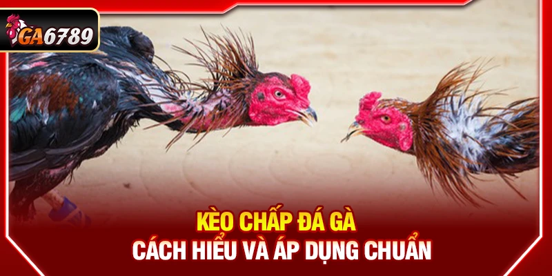 Theo dõi kỹ năng cùng lối đá trong thực tế