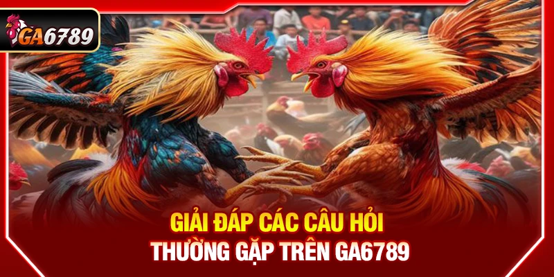 Giải đáp các câu hỏi thường gặp trên Ga6789