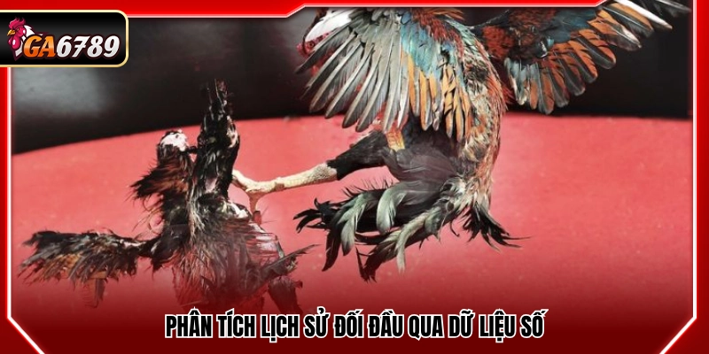 Kinh nghiệm cá độ đá gà phân tích thành tích đối đầu