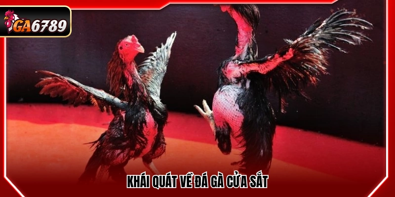 Tổng quan về đá gà cựa sắt