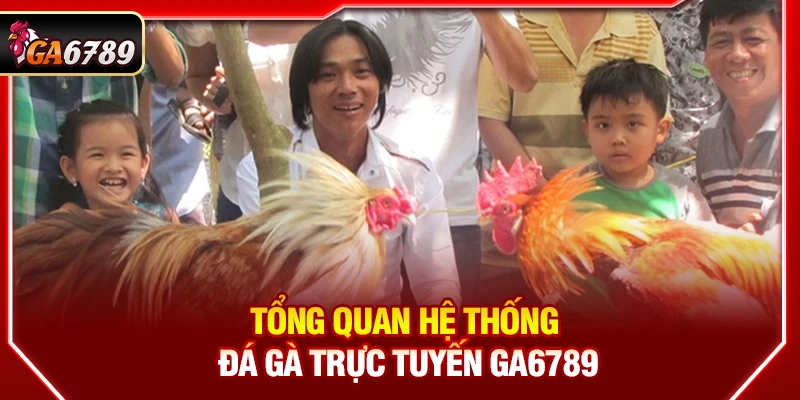 Tổng quan hệ thống đá gà trực tuyến Ga6789