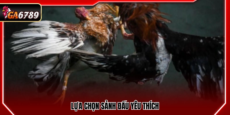 Chọn đấu trường phù hợp sở thích
